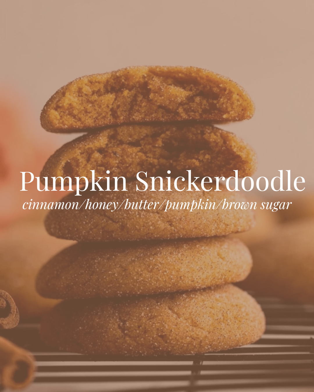 Pumpkin Snickerdoodle