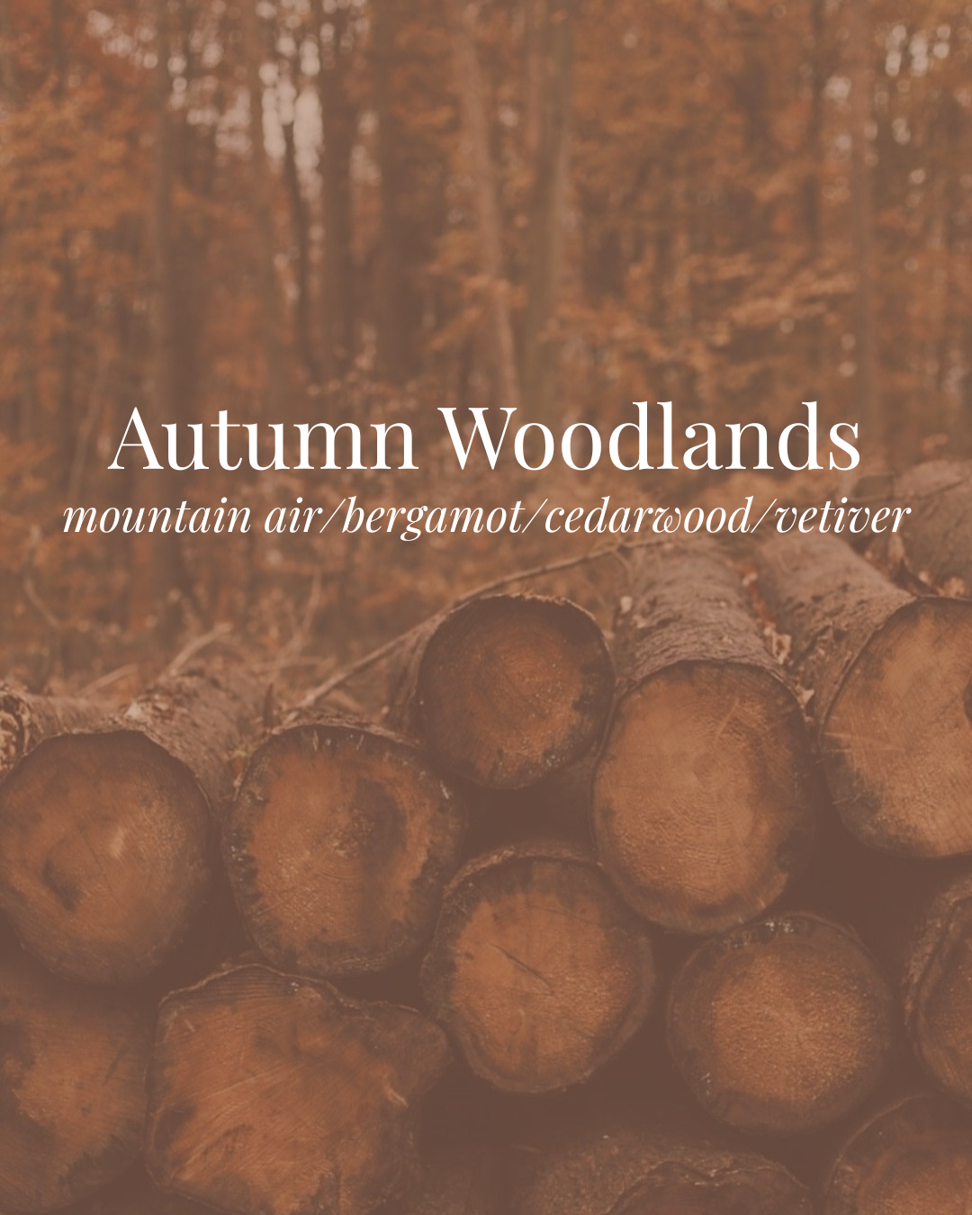 Autumn Woodlands